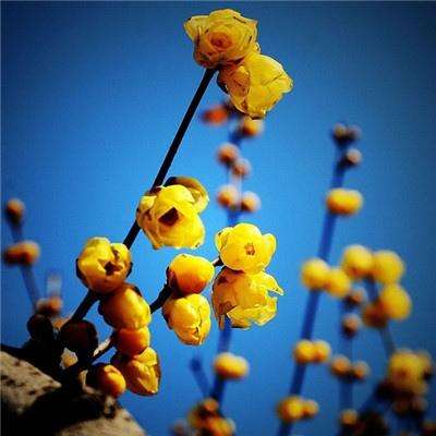 自动化周期拐点将至？本土、外资...