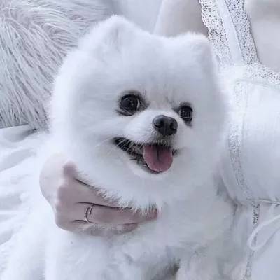 胸怀“千年大计” 奔赴“新的赶考”