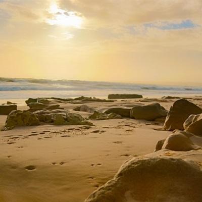 现货黄金重回4600美元,金饰克价一日涨超60元