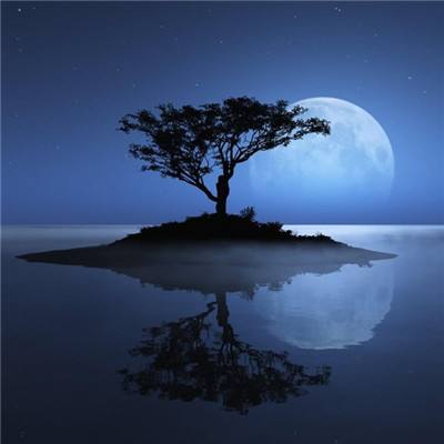 明星收入究竟有多高，明星应当如何纳税？