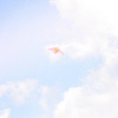 王毅:出现了一线和平的曙光